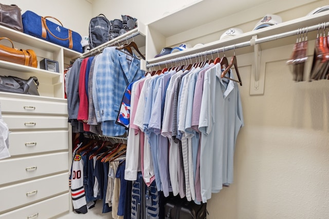 view of spacious closet