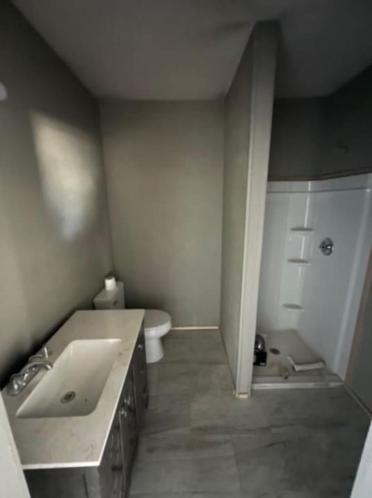 bathroom with toilet, a shower stall, and vanity