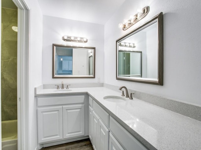 bathroom with wood finished floors, walk in shower, a sink, and double vanity