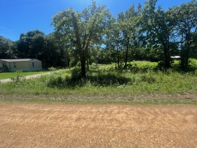 0 Li Linoe Ln, Sadler TX, 76264 land for sale