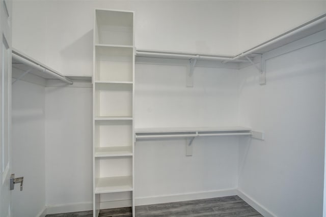 spacious closet featuring dark wood-type flooring