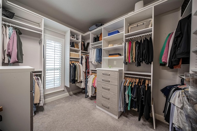 walk in closet with light carpet