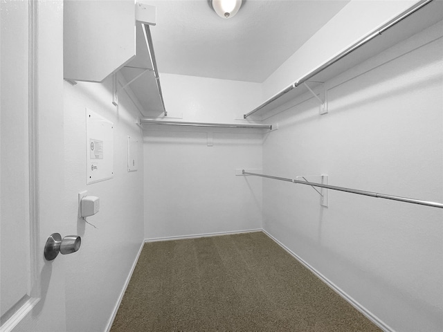 walk in closet with dark carpet