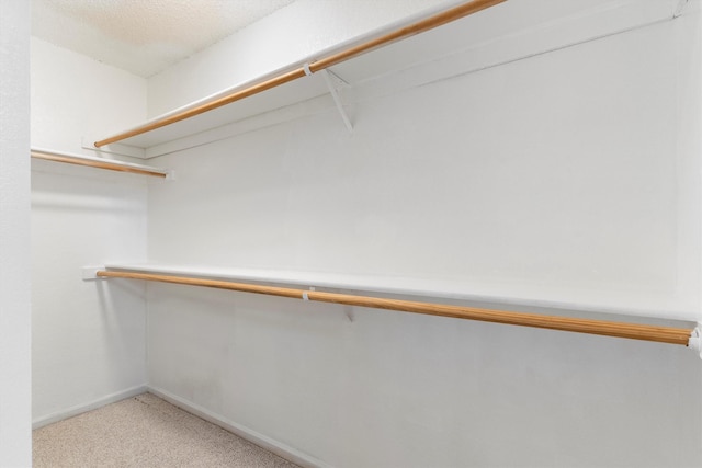 spacious closet featuring carpet