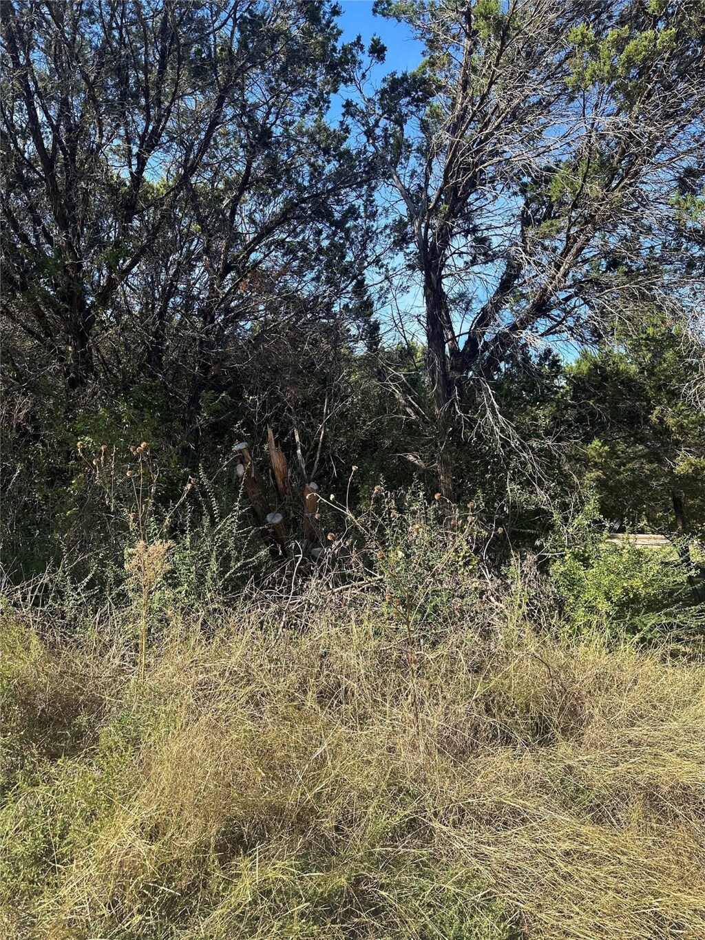5105 Stoneridge Dr, Granbury, TX 76048