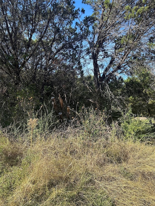 5105 Stoneridge Dr, Granbury, TX 76048