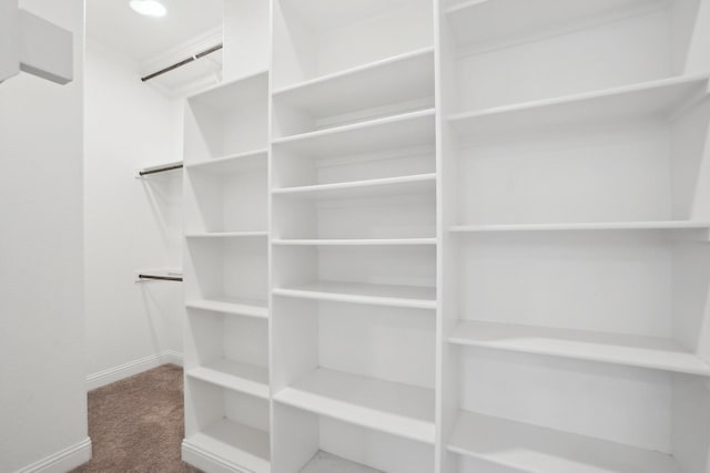 spacious closet featuring carpet floors