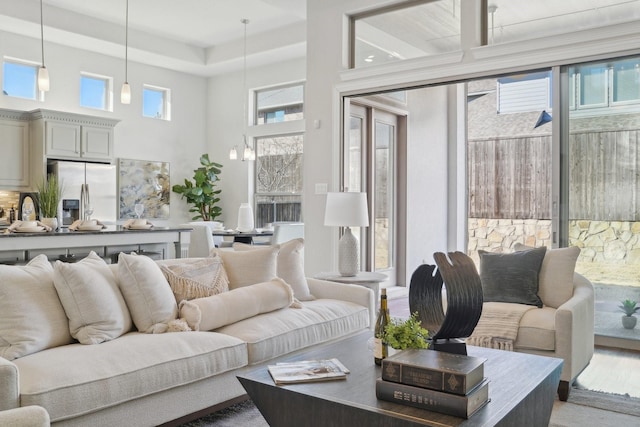 living area featuring a high ceiling and wood finished floors