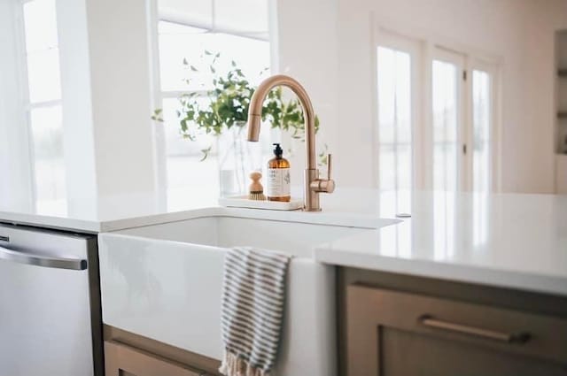 details with dishwasher and light countertops