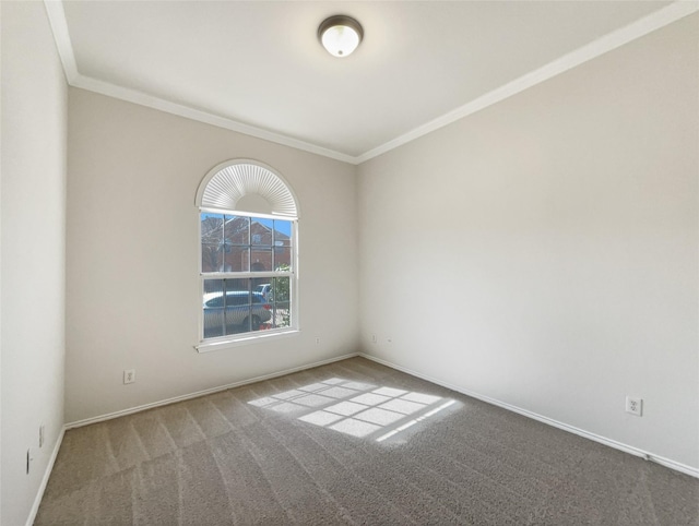 spare room with baseboards, carpet, and ornamental molding