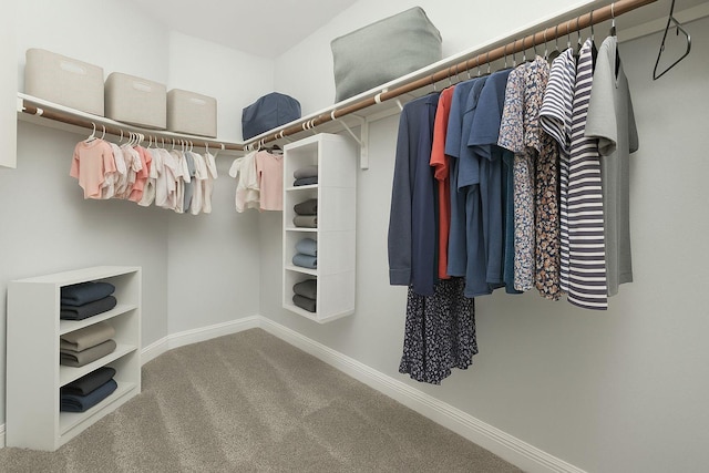 1805 Ringtail Dr, Little Elm, TX 75068 - walk in closet featuring carpet