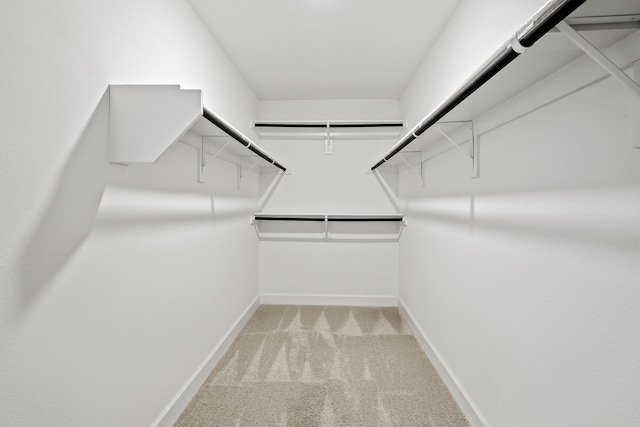 walk in closet featuring light colored carpet