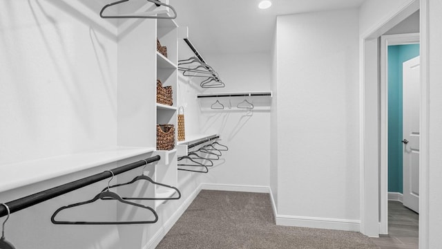 walk in closet with carpet flooring