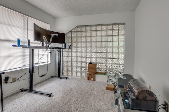 exercise area featuring carpet and a textured ceiling