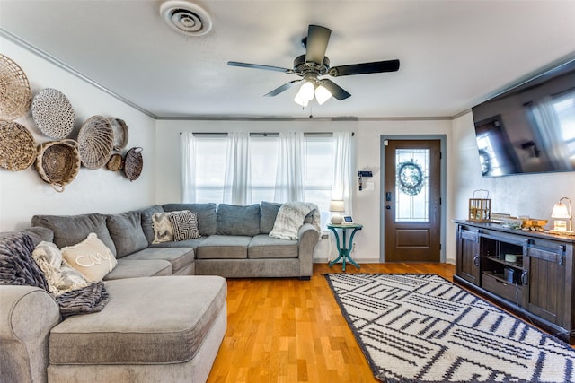 living area featuring a ceiling fan, light wood-type flooring, visible vents, and crown molding