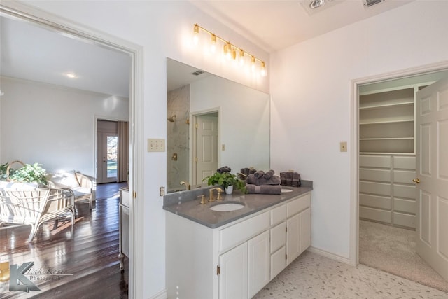 bathroom featuring visible vents, vanity, baseboards, and a spacious closet