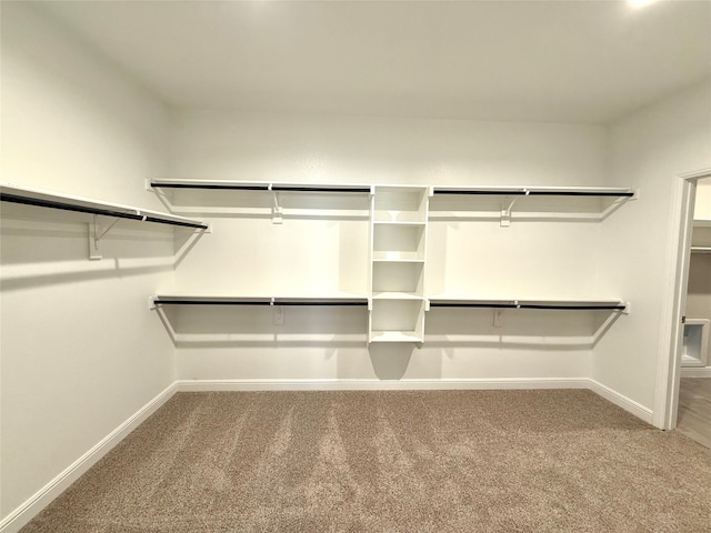 spacious closet featuring carpet flooring