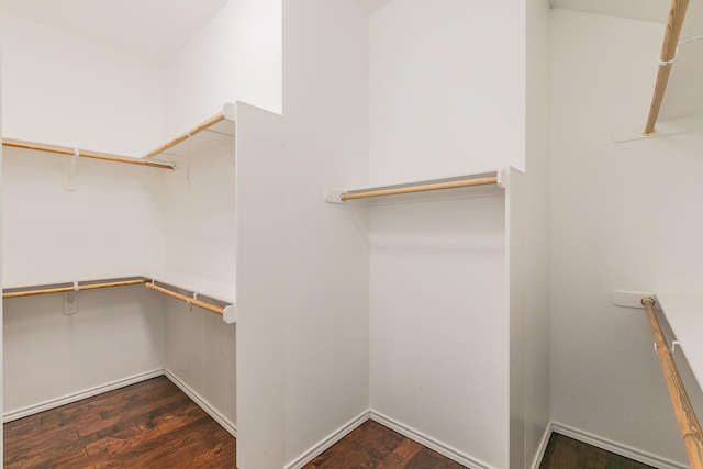 spacious closet featuring dark wood-type flooring