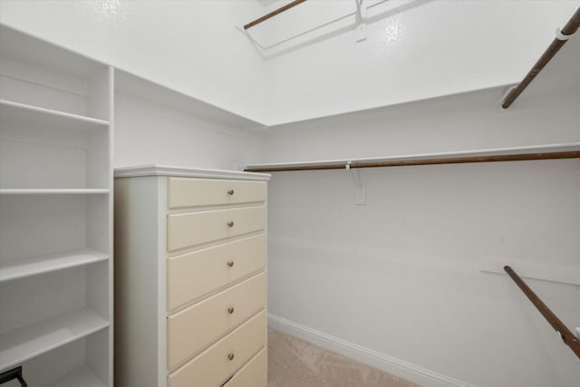 spacious closet with carpet flooring