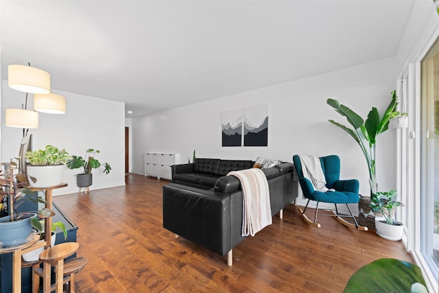 living room with dark wood finished floors