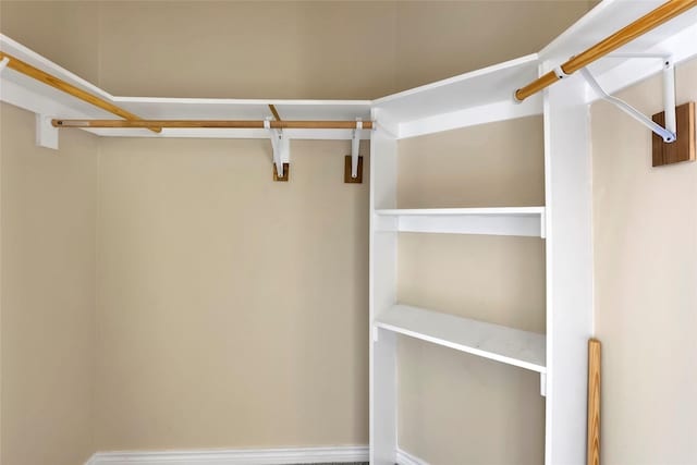 view of spacious closet