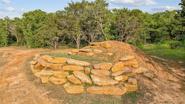3113 Rock Creek Rd, Mineral Wells, TX 76067 - view of nature featuring a wooded view