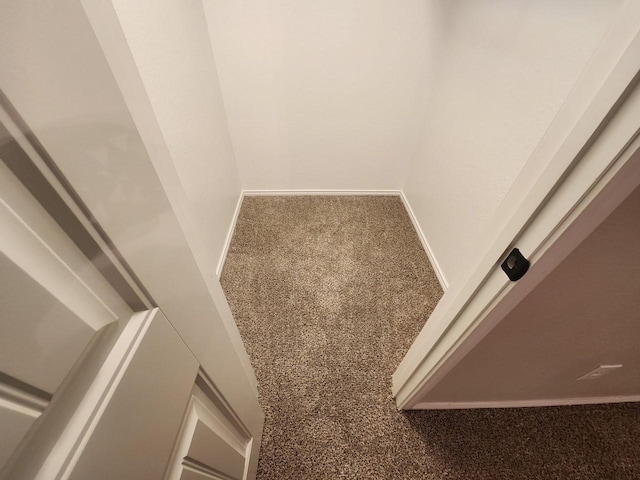 interior details featuring carpet and baseboards