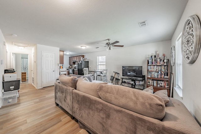 living area with a ceiling fan, light wood-type flooring, visible vents, and attic access