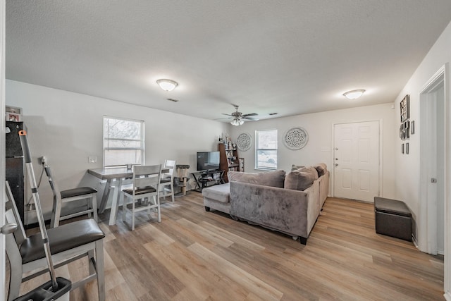 living area featuring light wood-type flooring, a textured ceiling, and a wealth of natural light