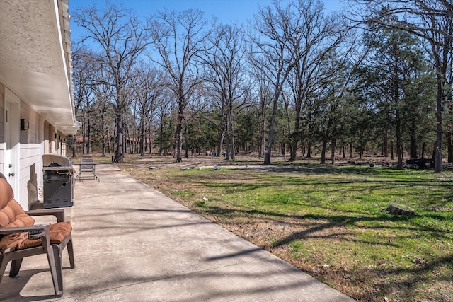 view of yard featuring a patio area