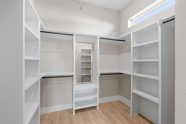 spacious closet featuring light wood finished floors