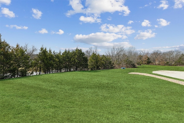 view of community with a lawn