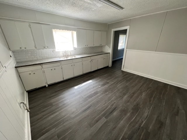 kitchen featuring plenty of natural light and white cabinetry