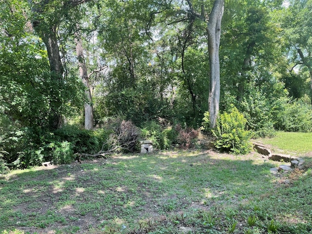 138 Whippoorwill Dr, Dallas, TX 75224 - view of grassy yard featuring a forest view