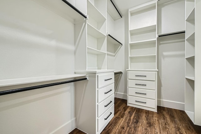 walk in closet featuring dark wood-type flooring