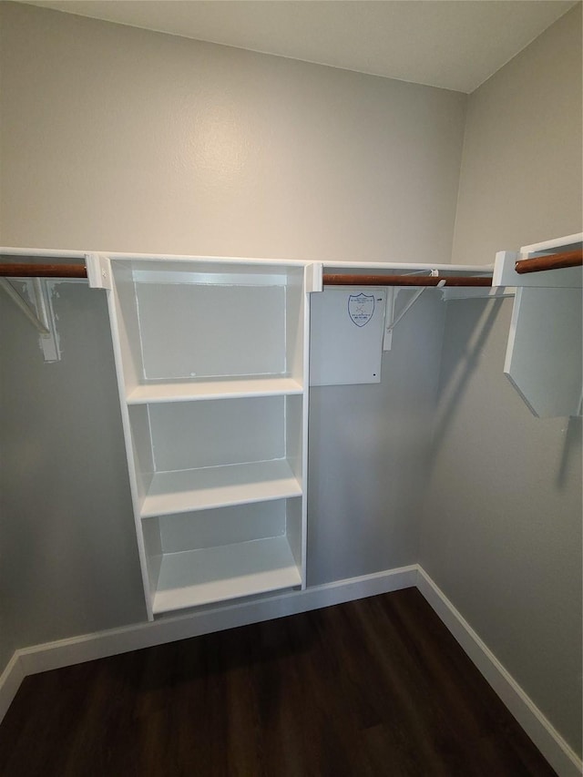 walk in closet featuring wood finished floors