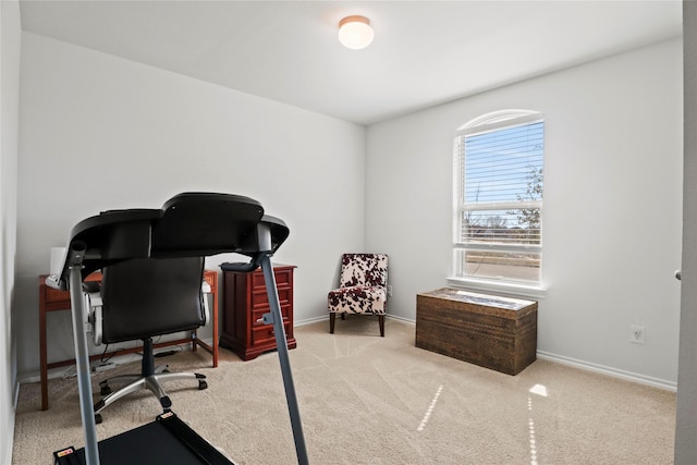 office area with light carpet and baseboards