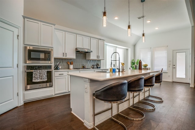 kitchen with under cabinet range hood, light countertops, a sink, lofted ceiling, and stainless steel appliances