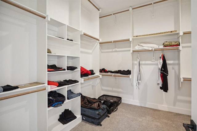 spacious closet with carpet flooring