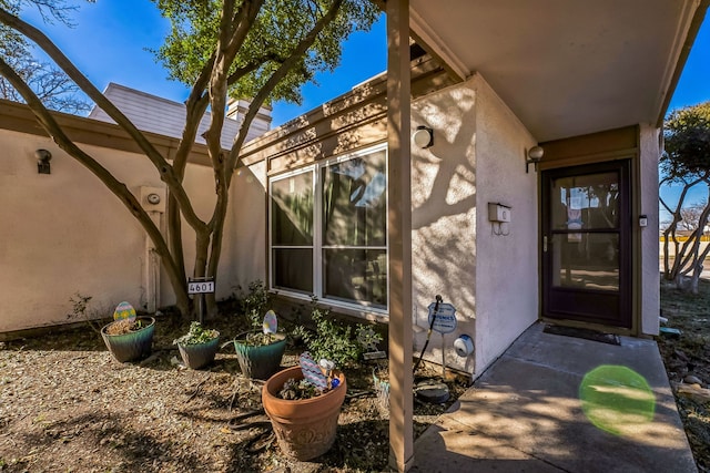 view of exterior entry with stucco siding