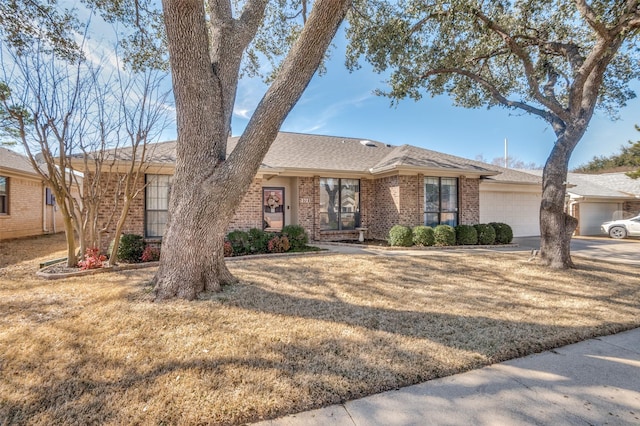 ranch-style house with a shingled roof, concrete driveway, an attached garage, a front lawn, and brick siding