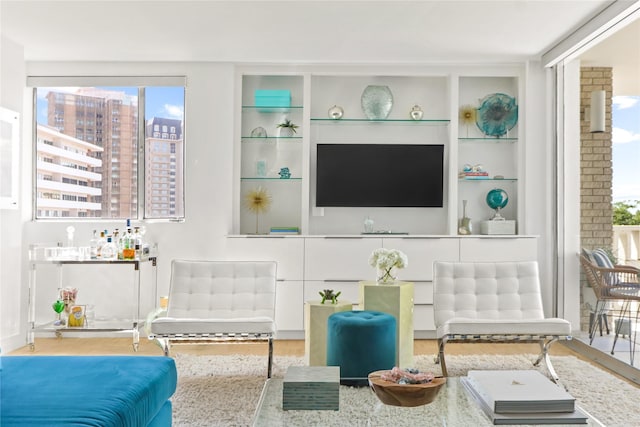 living room featuring wood finished floors, a wealth of natural light, and built in features