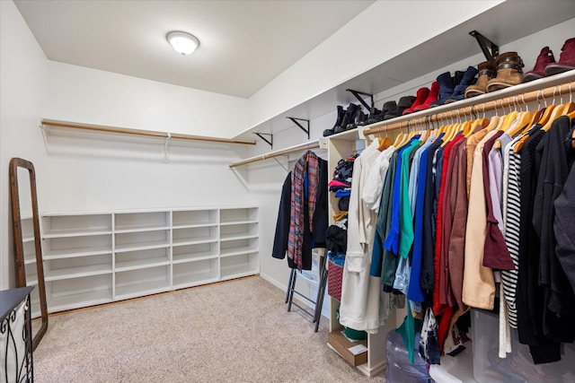 spacious closet featuring carpet