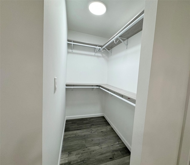 spacious closet with dark wood-type flooring