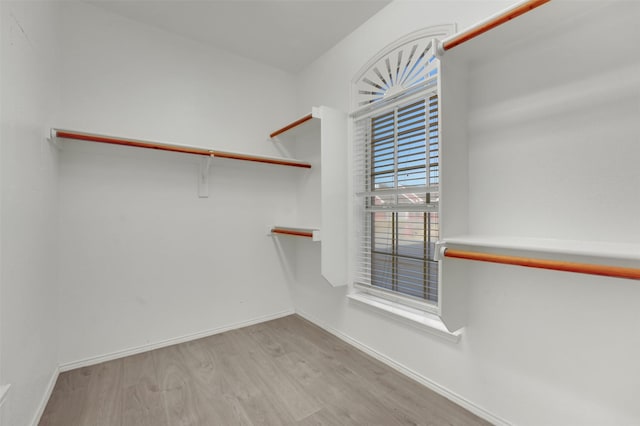 walk in closet featuring light wood finished floors