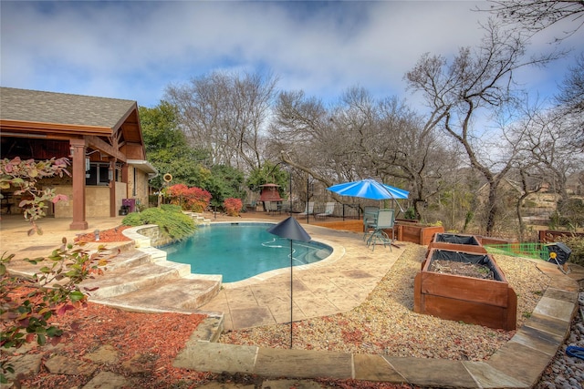 view of swimming pool with a patio, a vegetable garden, and a fenced in pool