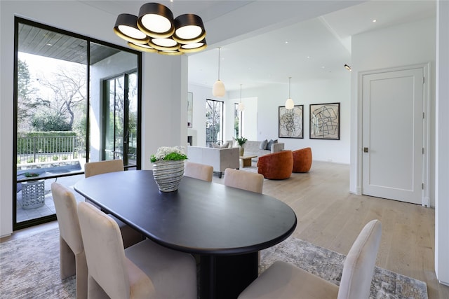 dining room featuring light wood-style floors