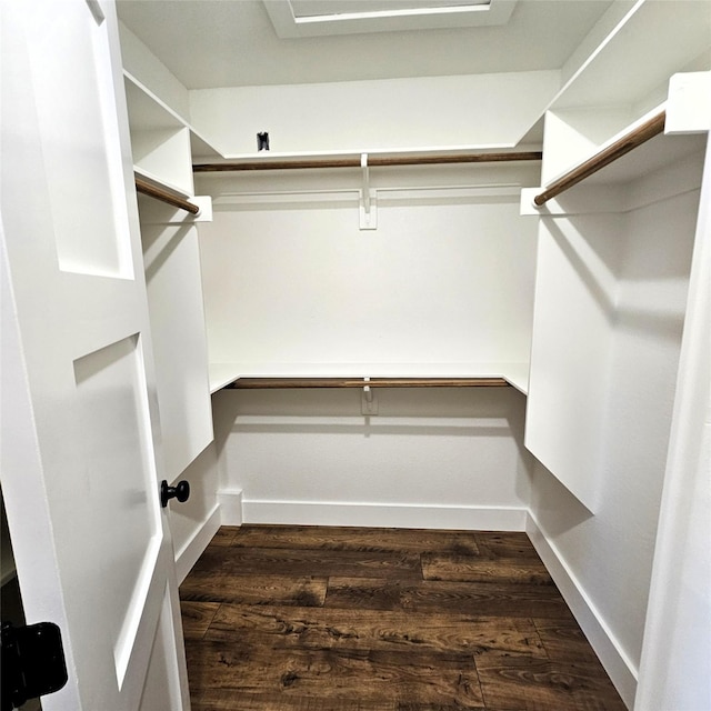 spacious closet with dark wood finished floors