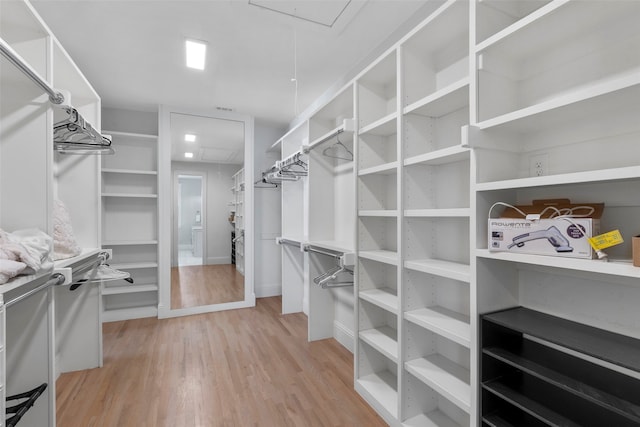 spacious closet featuring light wood finished floors and attic access