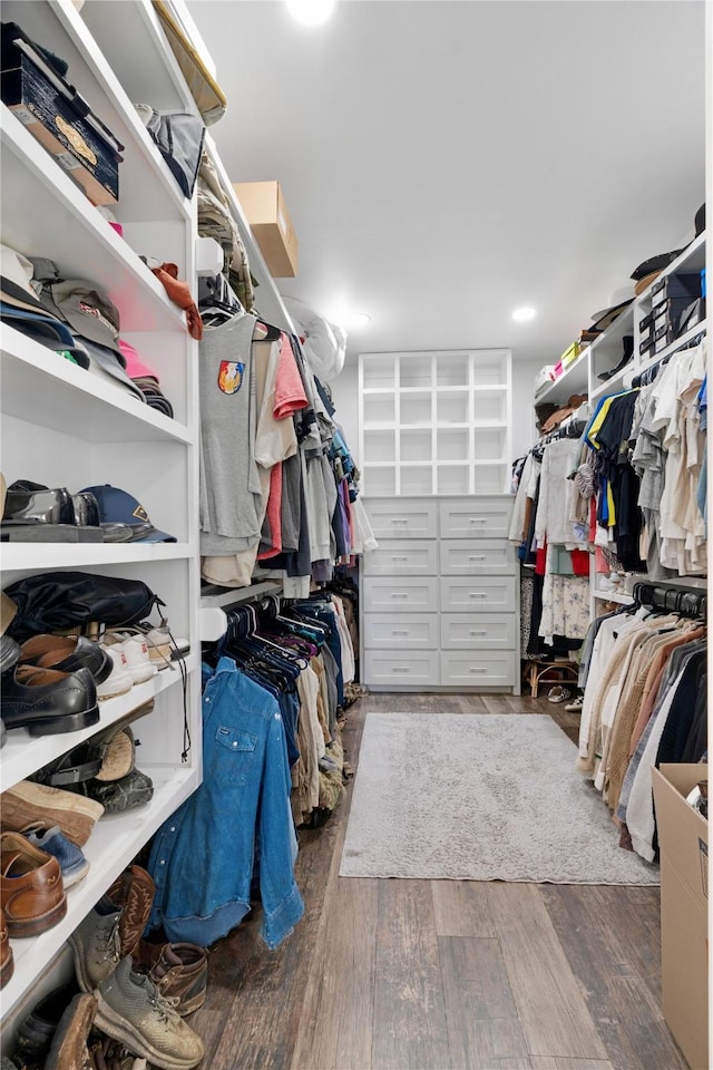 walk in closet with dark wood-style flooring